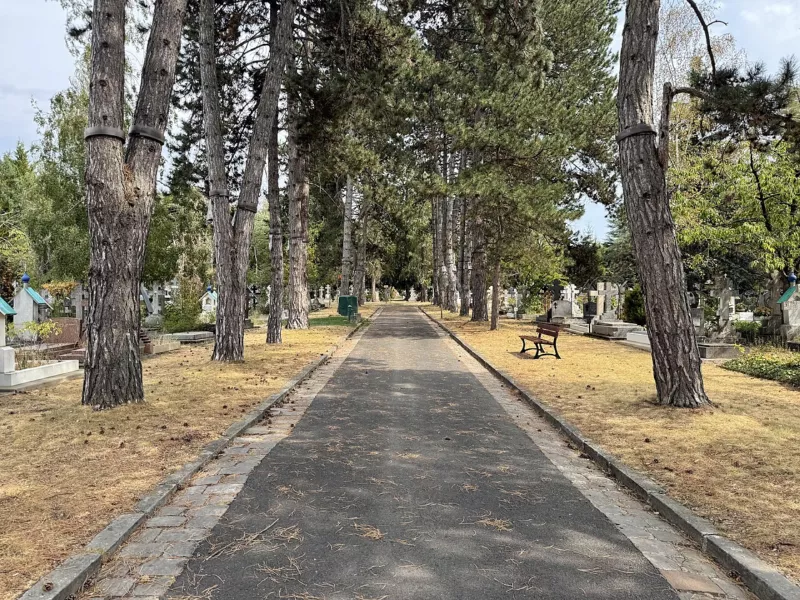 Cimetière Russe - Sainte-Geneviève-des-Bois (FR91) - 2026-08-15 - 3