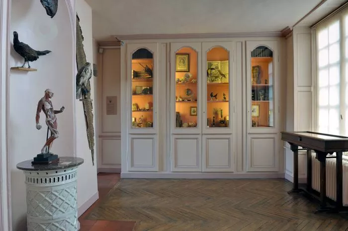 Visite commentée de la collection permanente
