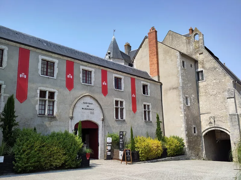 Château de Beaugency (40606)