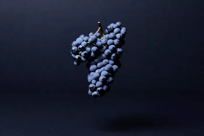 Les Rendez-vous du Château Haut-Bailly