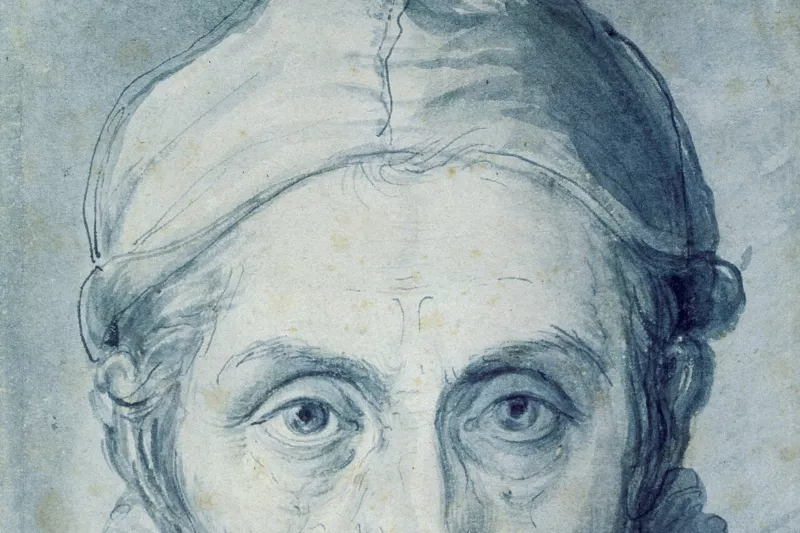 Giuseppe Arcimboldo - Self Portrait - Google Art Project