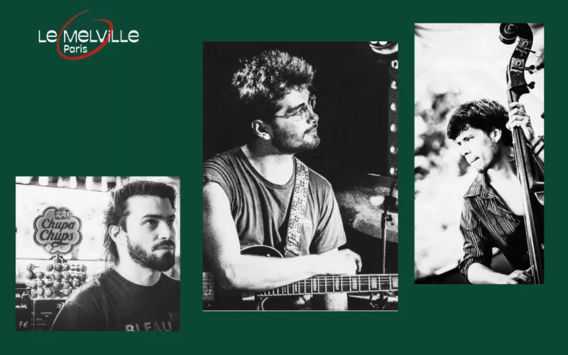 Fedia amice trio