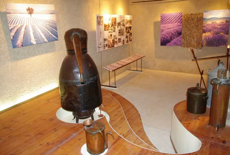 Exposition permanente "Lavandes et plantes aromatiques en Haute-Provence"