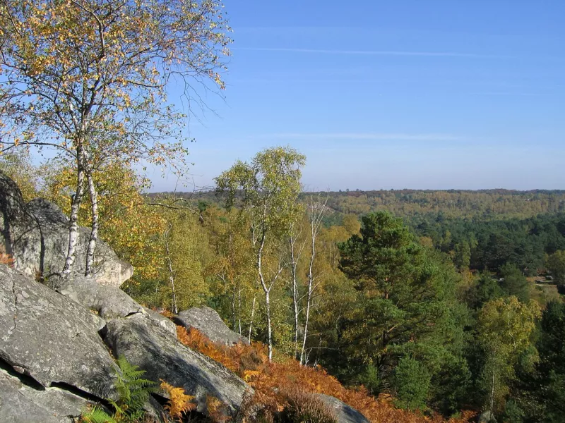 Forêt de Fontainebleau, France
