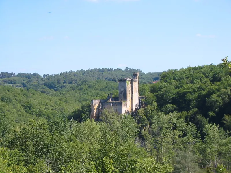 Marquay, le château de Commarque vu depuis le Cap Blanc