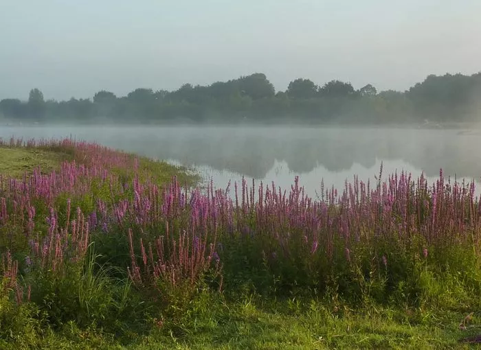 A la découverte de l’eau et de ses secrets