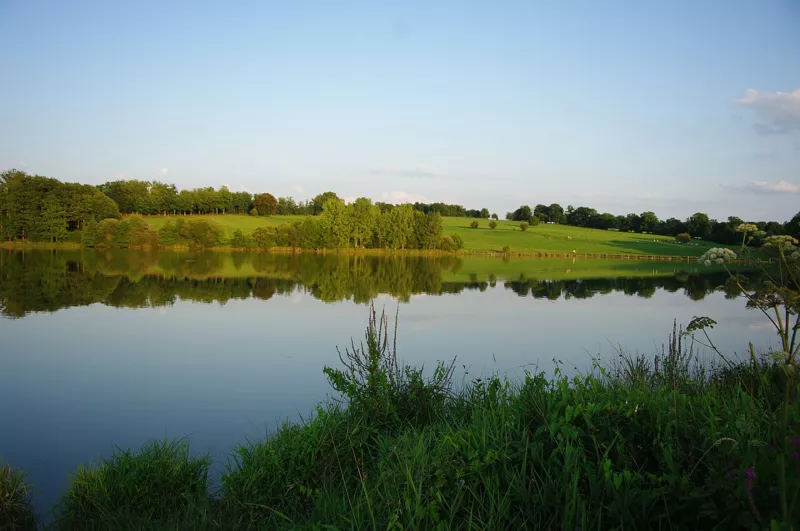 Etang de Pouge