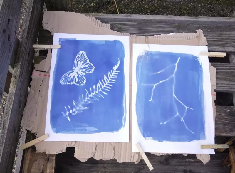Atelier : cyanotype