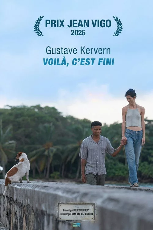 Affiche du film Voilà, c’est fini