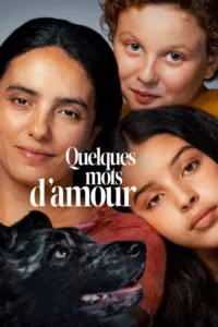 Affiche du film Quelques mots d'amour