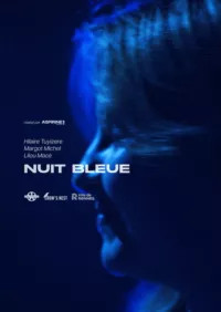 Affiche du film NUIT BLEUE