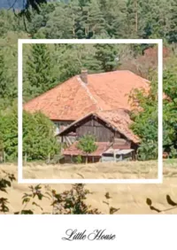 Affiche du film Little House