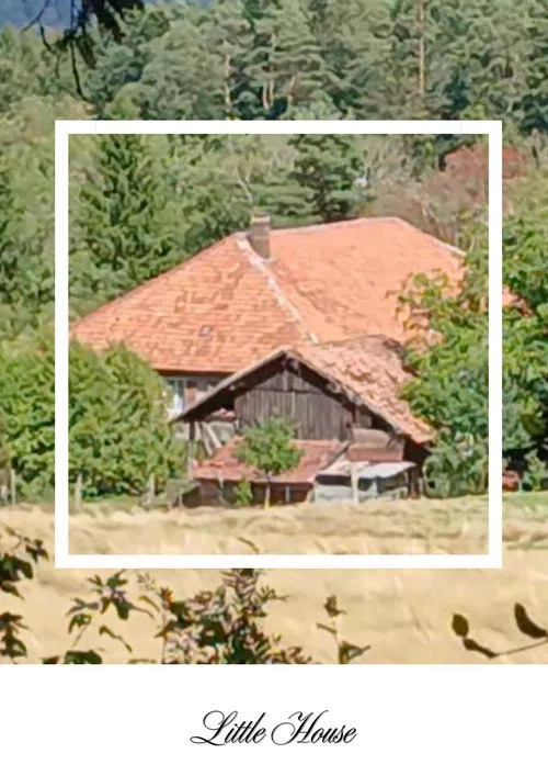Affiche du film Little House