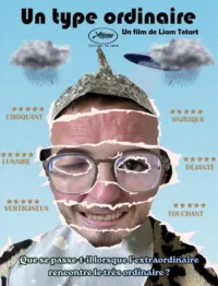 Affiche du film Un type ordinaire