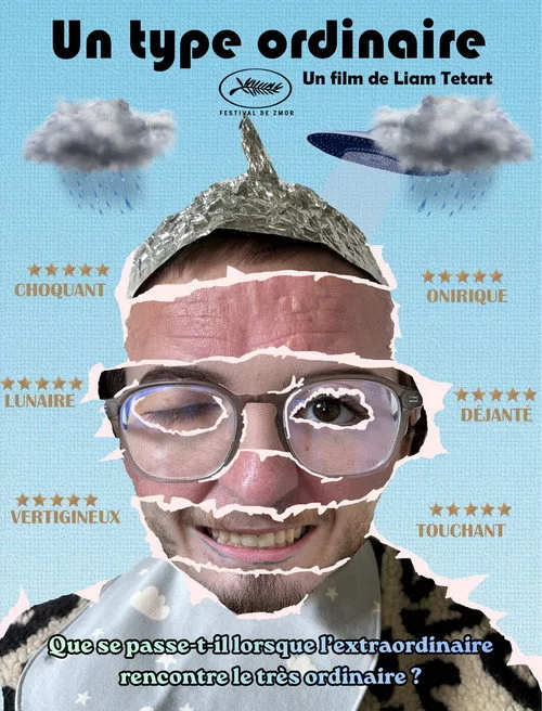 Affiche du film Un type ordinaire